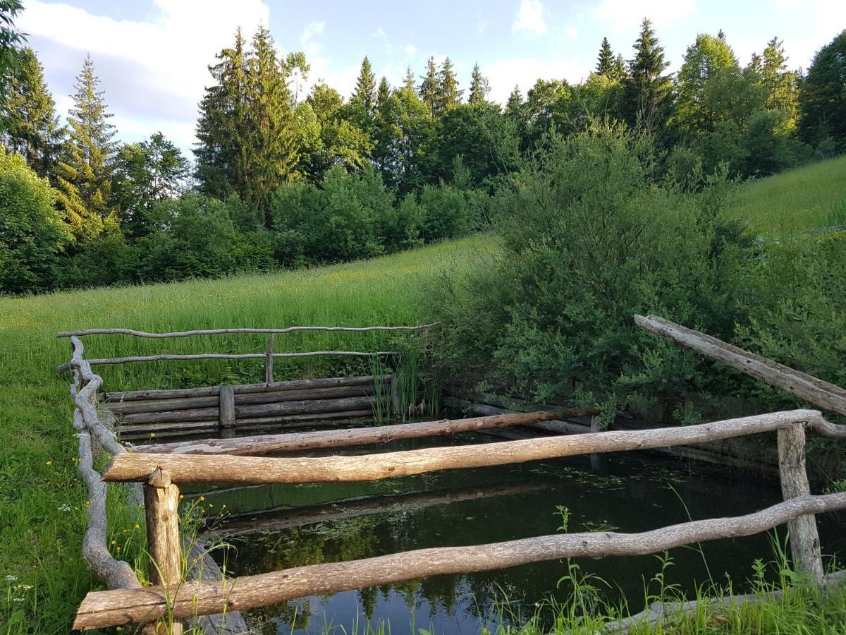 Rostoka  У Медовому Раю 빌라 외부 사진
