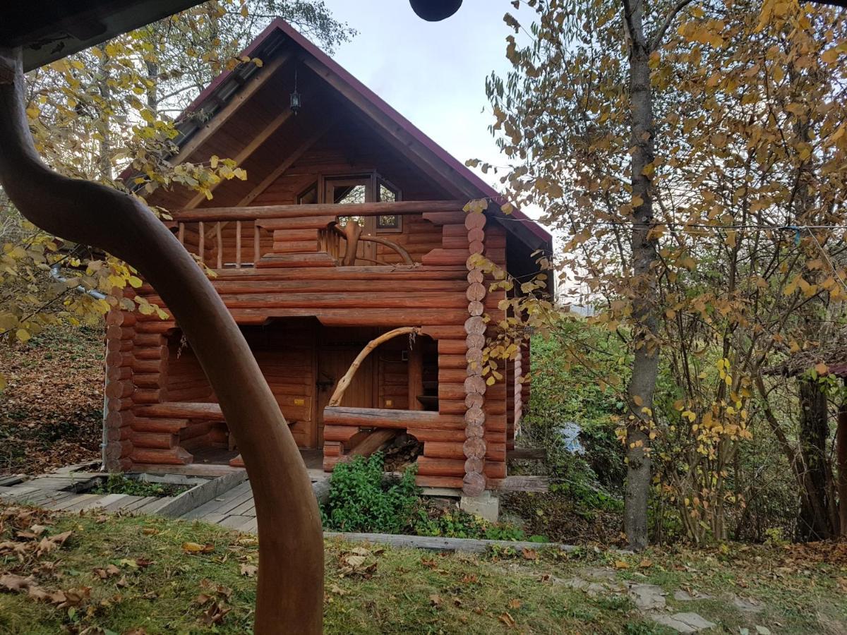 Rostoka  У Медовому Раю 빌라 외부 사진